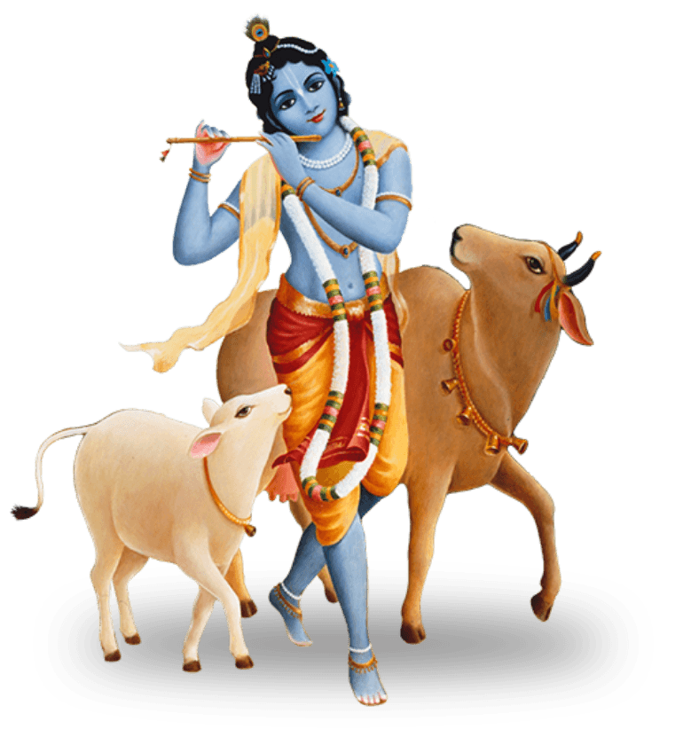 Lord Krishna with cows